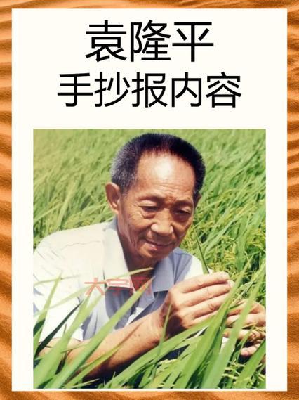 袁爷爷的一生：从北京小伙到“杂交水稻之父”的传奇故事