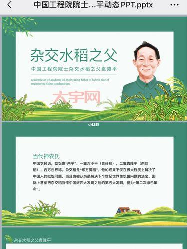 袁爷爷的一生：从北京小伙到“杂交水稻之父”的传奇故事