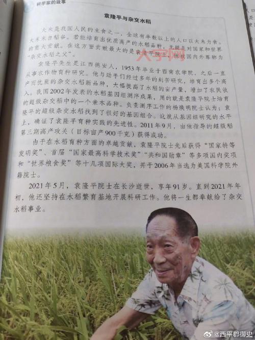 袁爷爷的一生：从北京小伙到“杂交水稻之父”的传奇故事