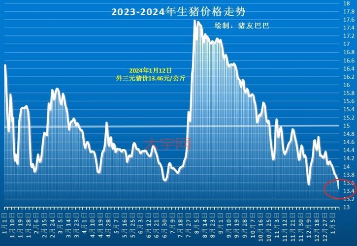 今年猪价行情持续低迷，养猪户该何去何从？