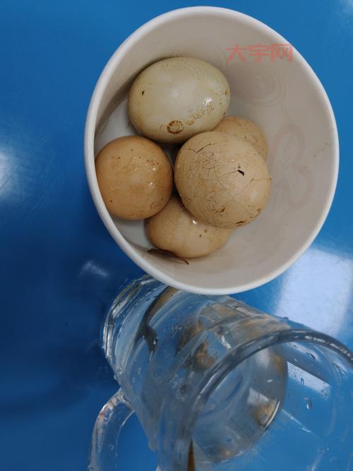 新鲜的鸡蛋最好不要和什么放一起？这几样食物要避开