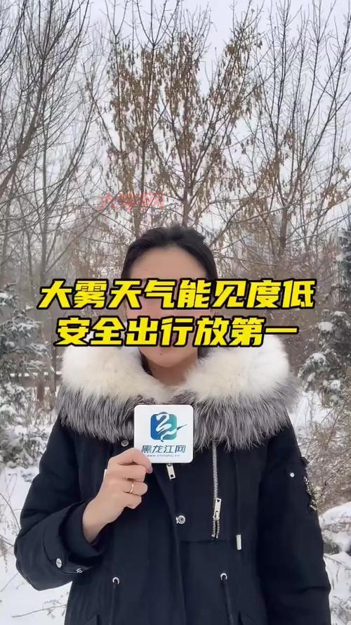 上海大雾能见度低？这些出行方式更安全！