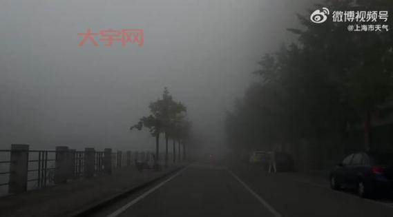 上海大雾能见度低？这些出行方式更安全！