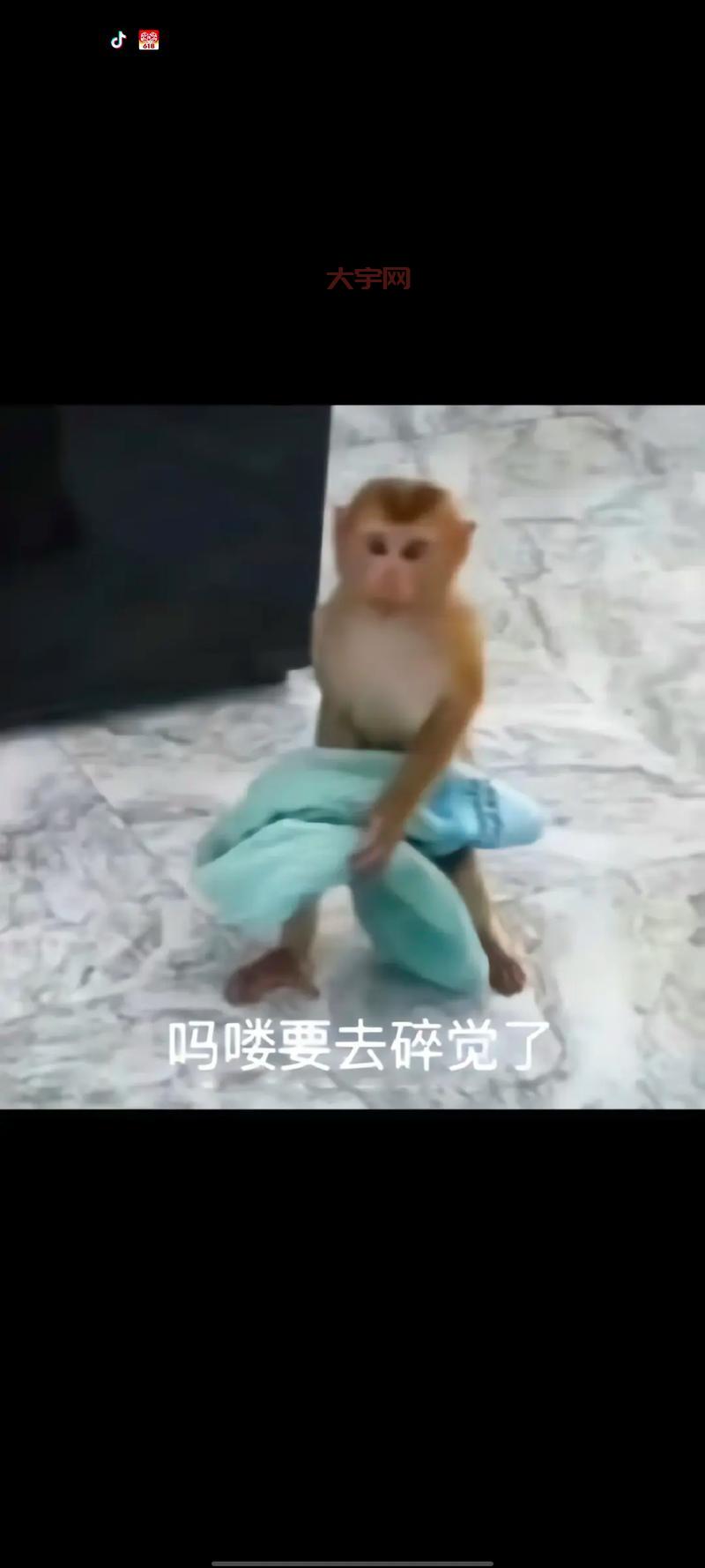 抖音胖乐睡觉太可爱了！网友直呼受不了啦！