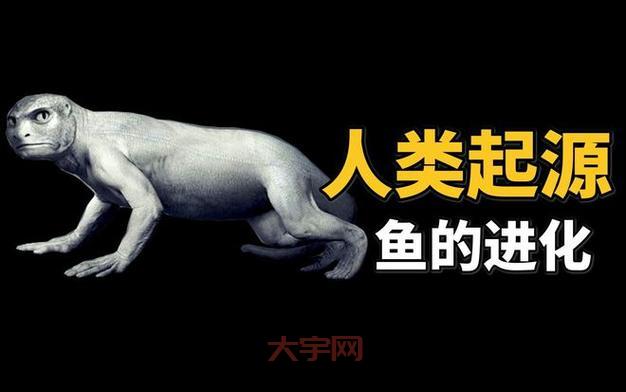 鱼会发声说话吗？动物学家为你揭秘鱼类声音奥秘！