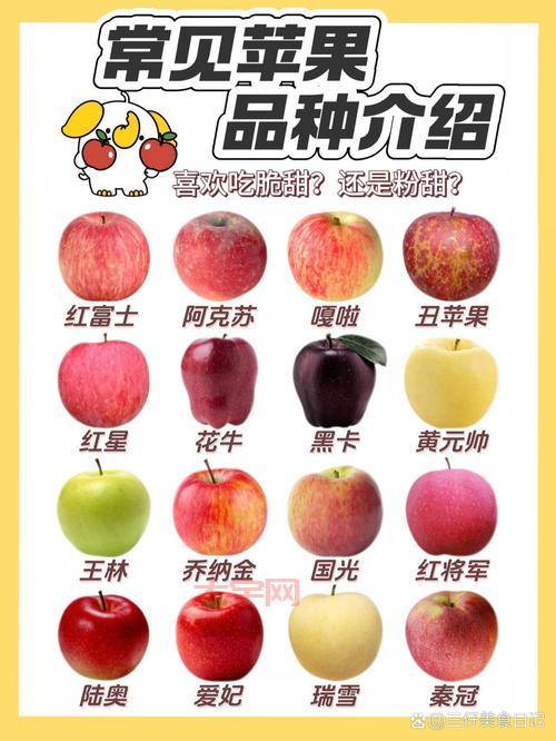 湖南苹果怎么挑选？记住这几招买到正宗好苹果！