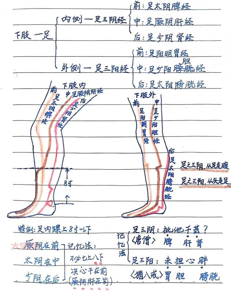 九阴真经踢馆地点汇总，各个地图踢馆位置一览！