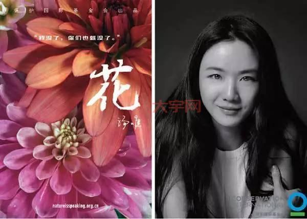 杨家后宅冬儿完整版资源，这几个平台可以免费看！