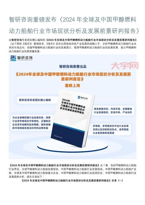 中国对这项技术的应用前景如何？行业专家深度分析