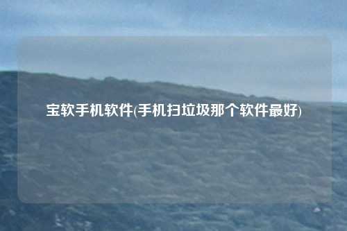 宝软手机软件(手机扫垃圾那个软件最好)