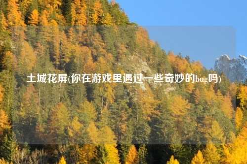 土城花屏(你在游戏里遇过一些奇妙的bug吗)