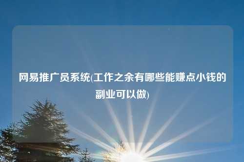 网易推广员系统(工作之余有哪些能赚点小钱的副业可以做)