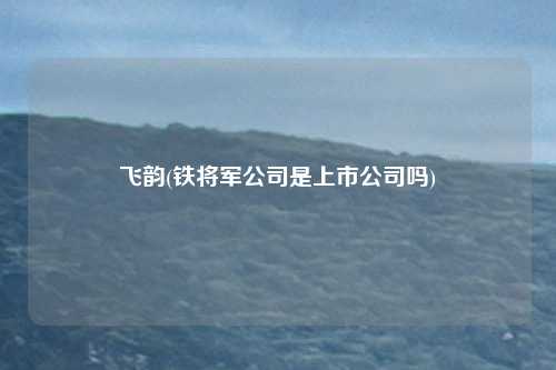 飞韵(铁将军公司是上市公司吗)
