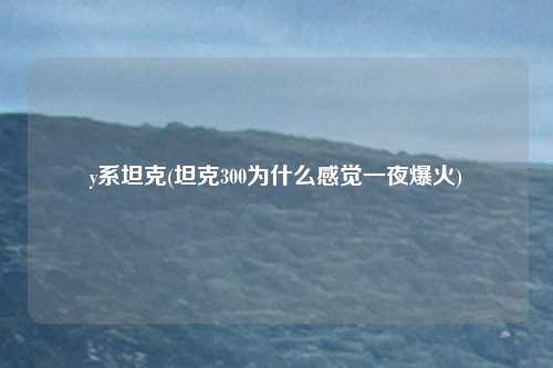 y系坦克(坦克300为什么感觉一夜爆火)
