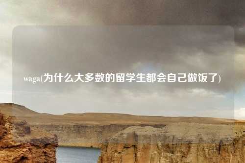 waga(为什么大多数的留学生都会自己做饭了)