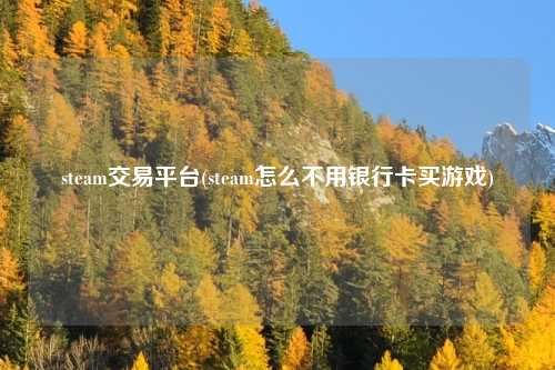 steam交易平台(steam怎么不用银行卡买游戏)