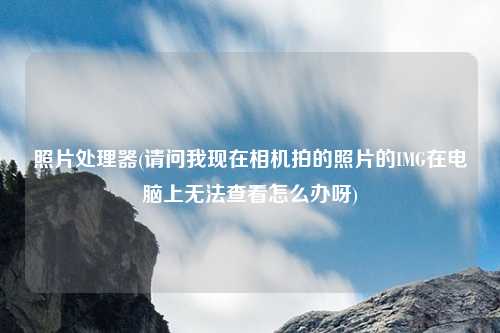 照片处理器(请问我现在相机拍的照片的IMG在电脑上无法查看怎么办呀)