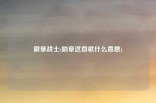 徽章战士(勋章这首歌什么意思)