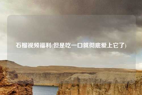 石榴视频福利(但是吃一口就彻底爱上它了)