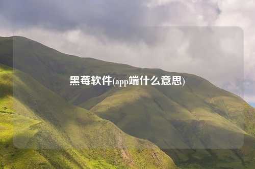 黑莓软件(app端什么意思)