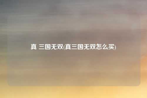 真 三国无双(真三国无双怎么买)