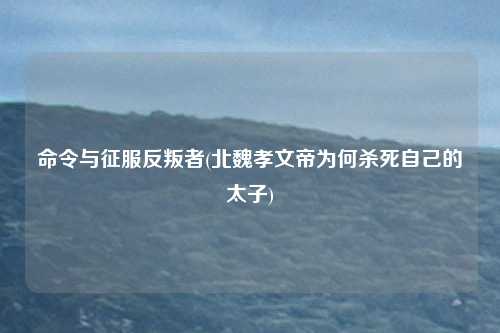 命令与征服反叛者(北魏孝文帝为何杀死自己的太子)