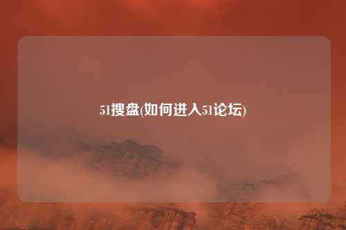 51搜盘(如何进入51论坛)