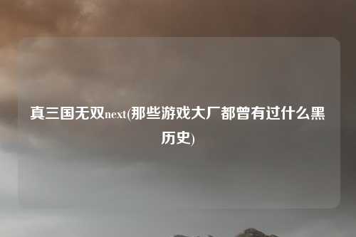 真三国无双next(那些游戏大厂都曾有过什么黑历史)
