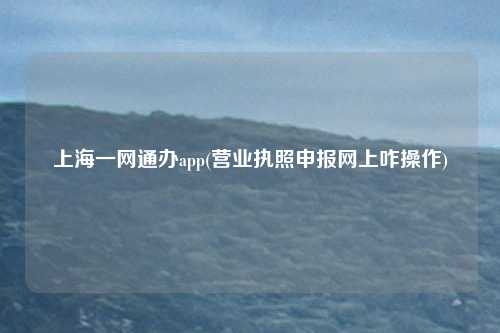 上海一网通办app(营业执照申报网上咋操作)