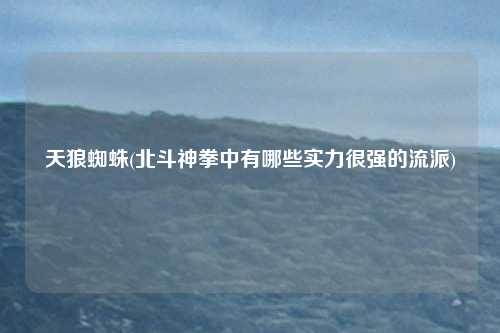 天狼蜘蛛(北斗神拳中有哪些实力很强的流派)