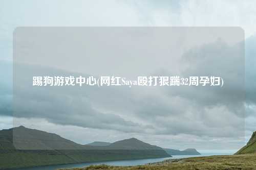 踢狗游戏中心(网红Saya殴打狠踹32周孕妇)