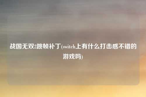 战国无双2跳帧补丁(switch上有什么打击感不错的游戏吗)