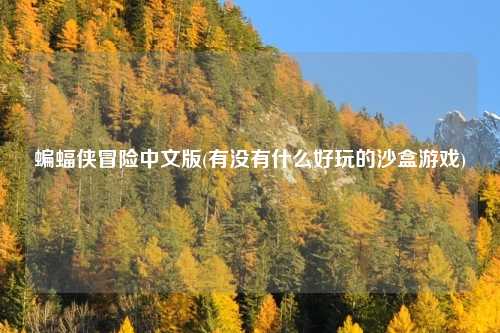 蝙蝠侠冒险中文版(有没有什么好玩的沙盒游戏)