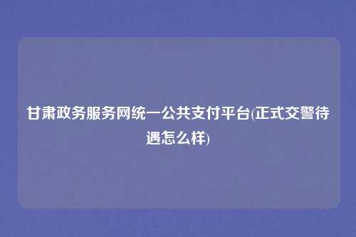 甘肃政务服务网统一公共支付平台(正式交警待遇怎么样)