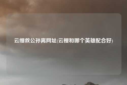 云缨救公孙离网址(云樱和哪个英雄配合好)