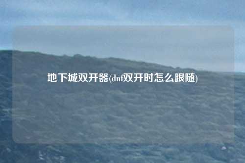 地下城双开器(dnf双开时怎么跟随)