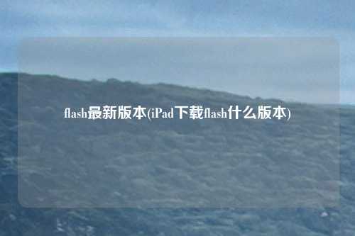 flash最新版本(iPad下载flash什么版本)