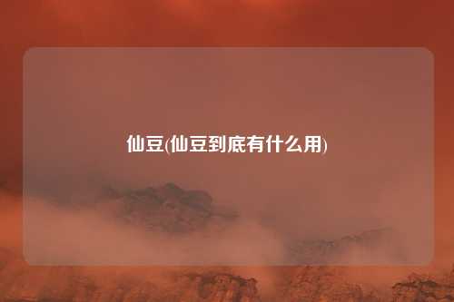 仙豆(仙豆到底有什么用)