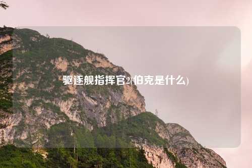 驱逐舰指挥官2(伯克是什么)