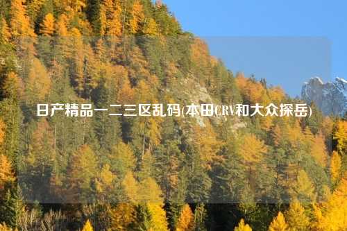 日产精品一二三区乱码(本田CRV和大众探岳)