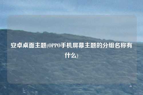 安卓桌面主题(OPPO手机屏幕主题的分组名称有什么)