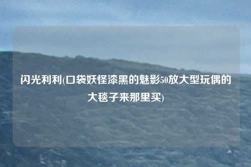 闪光利利(口袋妖怪漆黑的魅影50放大型玩偶的大毯子来那里买)