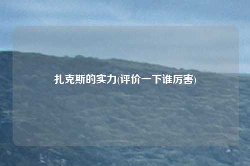 扎克斯的实力(评价一下谁厉害)