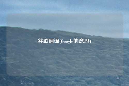 谷歌翻译(Google的意思)