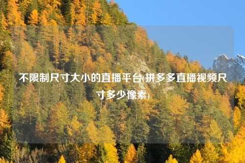 不限制尺寸大小的直播平台(拼多多直播视频尺寸多少像素)