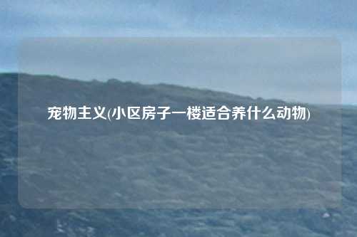 宠物主义(小区房子一楼适合养什么动物)