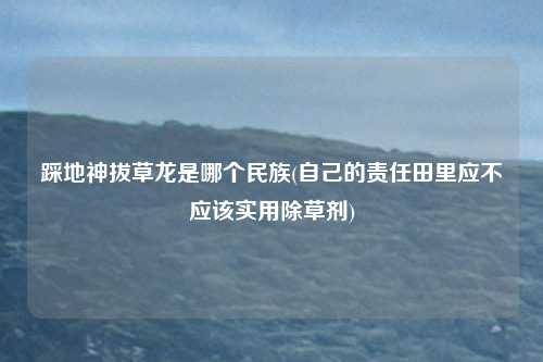 踩地神拔草龙是哪个民族(自己的责任田里应不应该实用除草剂)