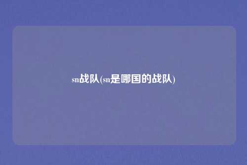 sn战队(sn是哪国的战队)