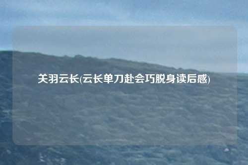 关羽云长(云长单刀赴会巧脱身读后感)