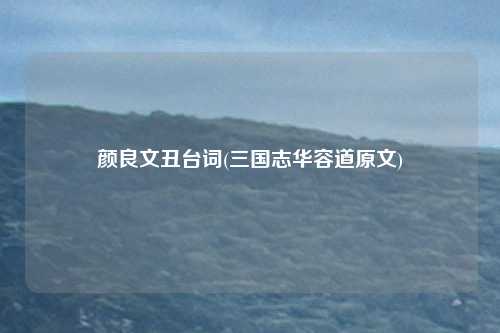 颜良文丑台词(三国志华容道原文)